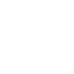 Erbeyin
